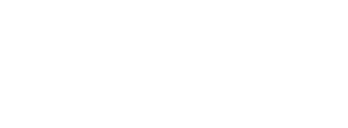 Lince Informática